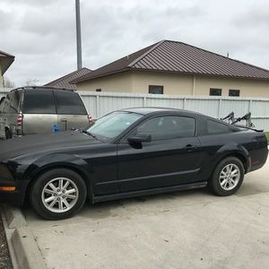 Meet your Posher, Genaro